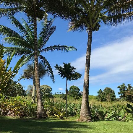 Island Goode'S - Luxury Adult Only Accommodation Near Hilo Papaikou Екстер'єр фото