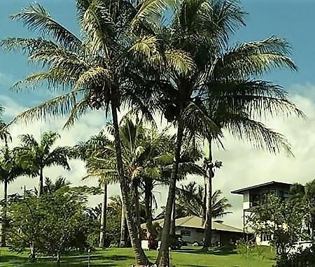 Island Goode'S - Luxury Adult Only Accommodation Near Hilo Papaikou Екстер'єр фото