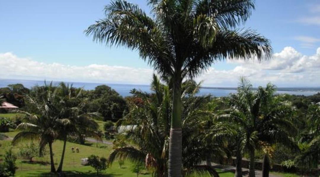 Island Goode'S - Luxury Adult Only Accommodation Near Hilo Papaikou Екстер'єр фото