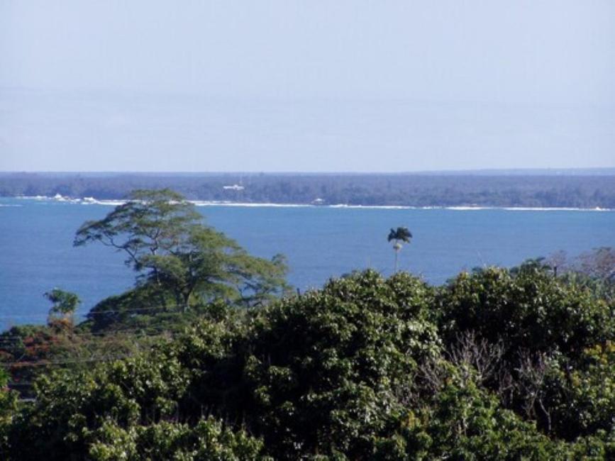 Island Goode'S - Luxury Adult Only Accommodation Near Hilo Papaikou Екстер'єр фото