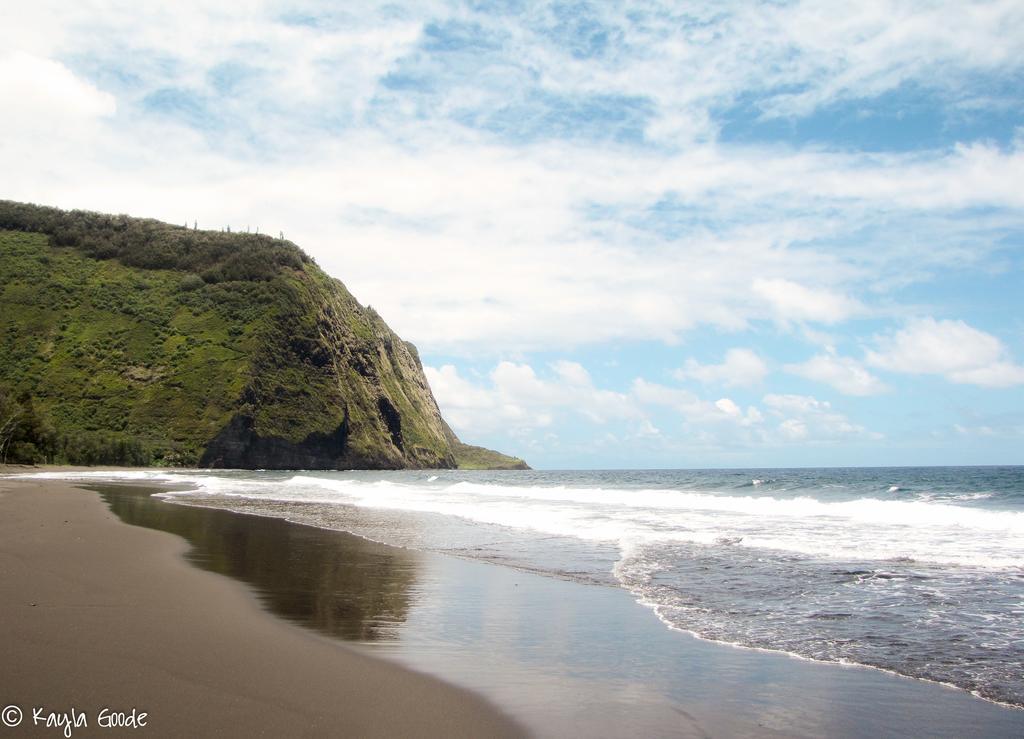 Island Goode'S - Luxury Adult Only Accommodation Near Hilo Papaikou Екстер'єр фото