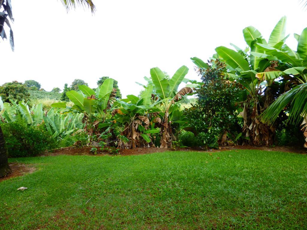 Island Goode'S - Luxury Adult Only Accommodation Near Hilo Papaikou Екстер'єр фото