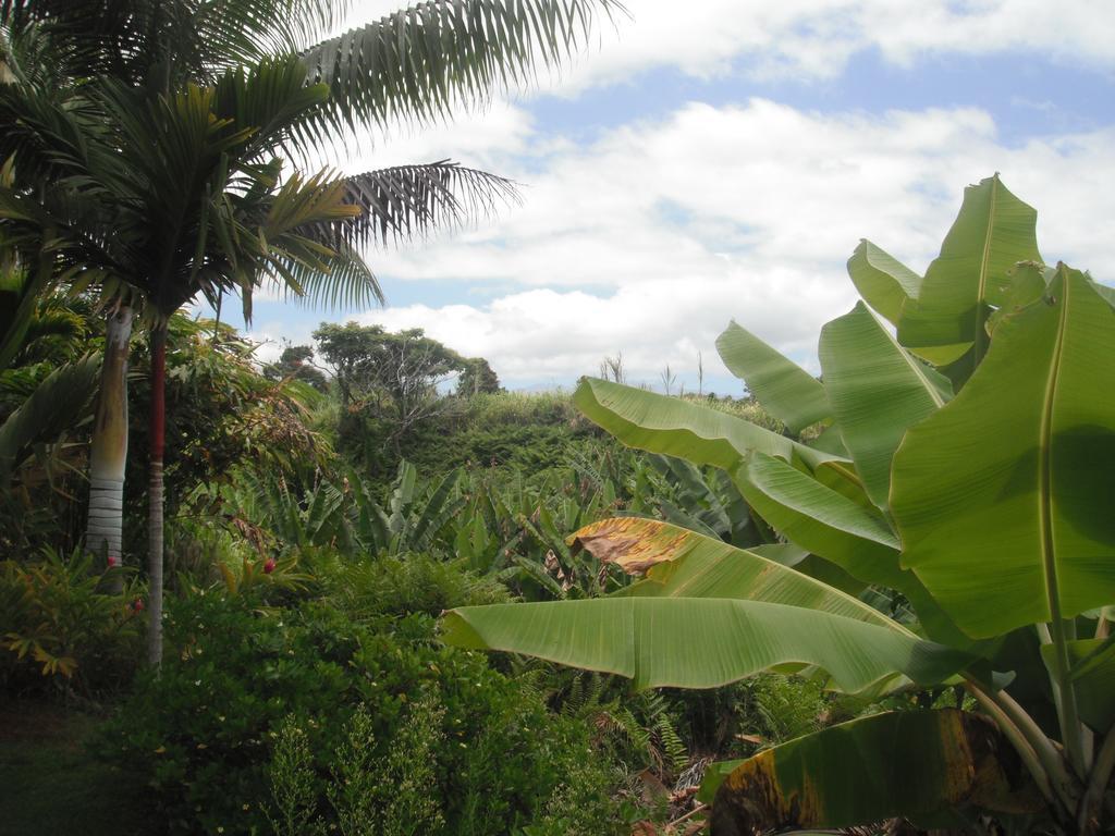 Island Goode'S - Luxury Adult Only Accommodation Near Hilo Papaikou Екстер'єр фото
