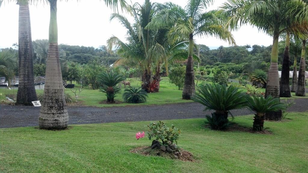 Island Goode'S - Luxury Adult Only Accommodation Near Hilo Papaikou Екстер'єр фото