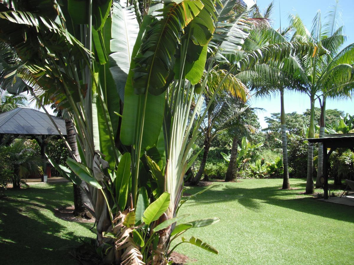 Island Goode'S - Luxury Adult Only Accommodation Near Hilo Papaikou Екстер'єр фото