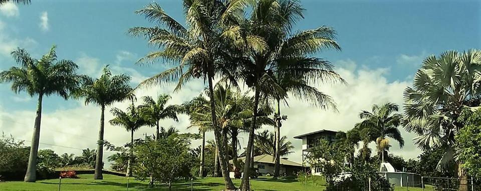 Island Goode'S - Luxury Adult Only Accommodation Near Hilo Papaikou Екстер'єр фото